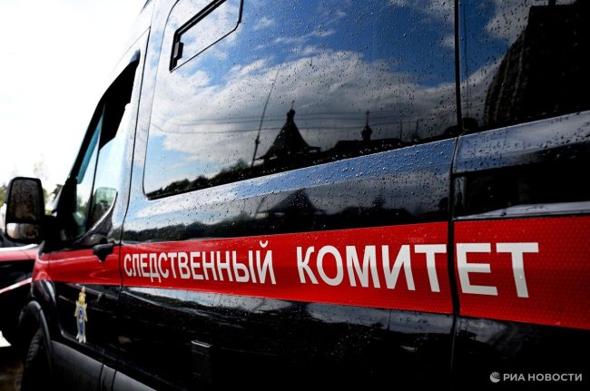 СК возбудил дело после нападения 12-летней девочки на детей в Новосибирске - «Мой папа знает»
